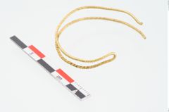 Foto von Golddrahtring (NHMW-PRAE-025483)